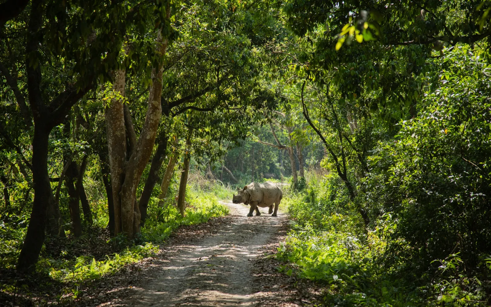 Top Places to Visit in Nepal for First-Time Travelers
