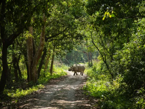 Top Places to Visit in Nepal for First-Time Travelers